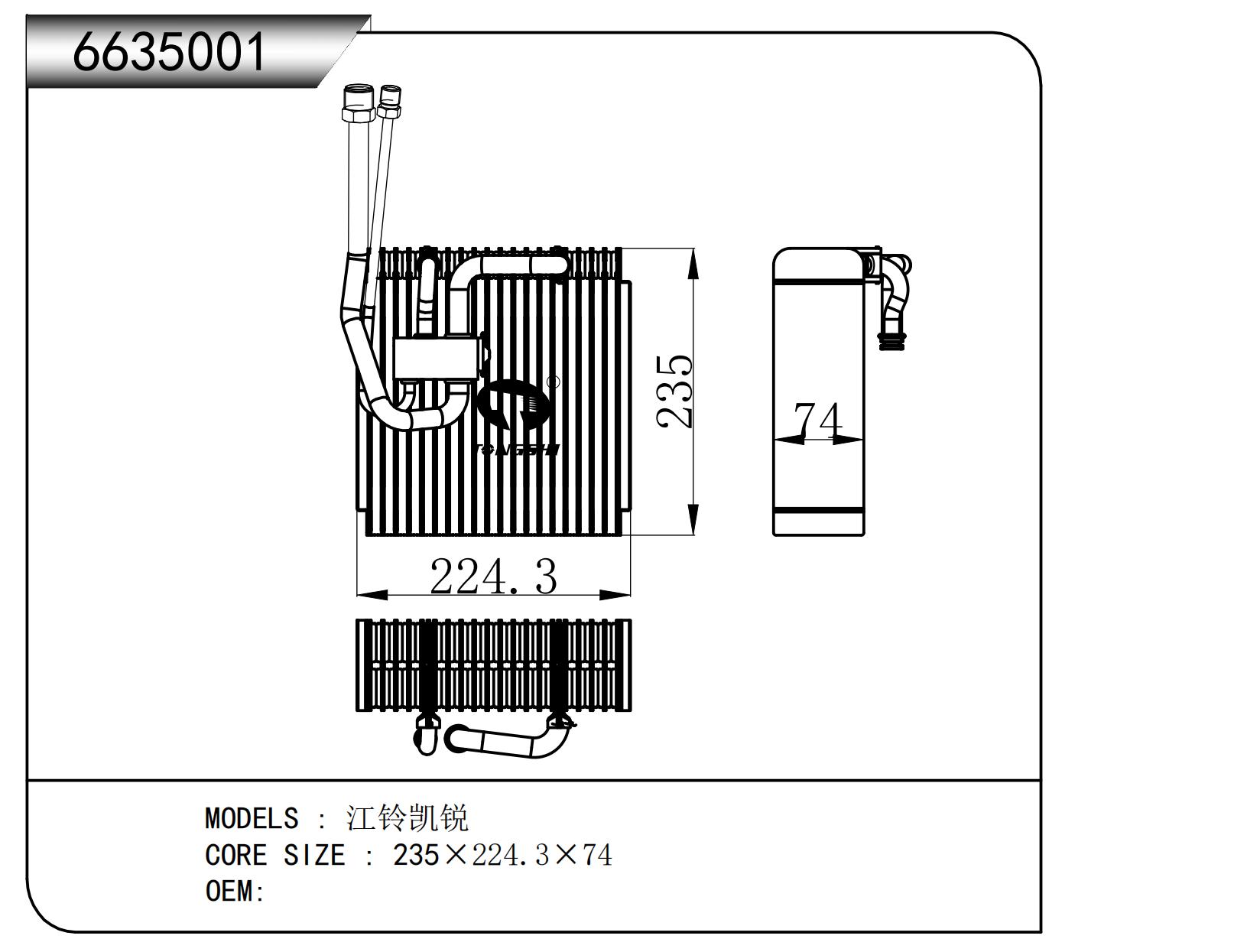 6635001.jpg