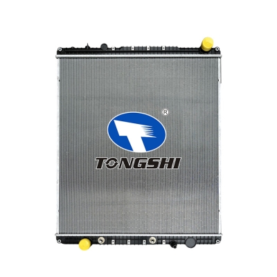 適用于FREIGHTLINER?CASSADIA?125?L6?12.8L?09-12?AT重卡散熱器
