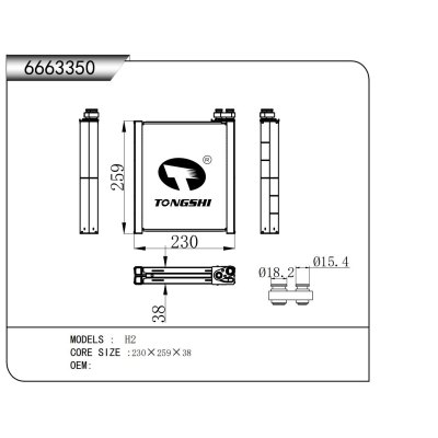 適用于 H2 蒸發(fā)器