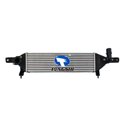 適用于NISSAN?DUALIS?(J10，JJ10)?1.6?DCI?OEM:14461-BB50A/14461-BB50B